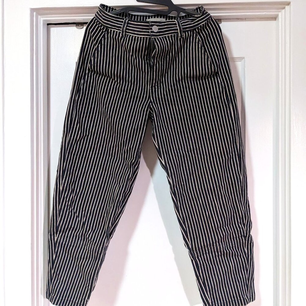 Everlane Striped Utility Barrel Pant